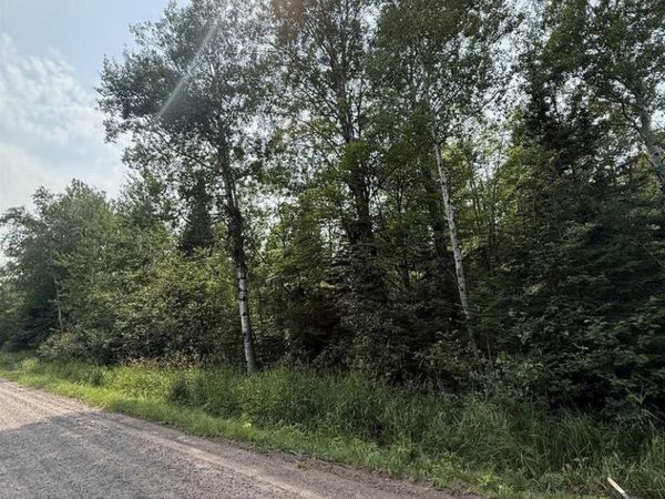 87XXX Bark River Rd, Herbster, WI 54844