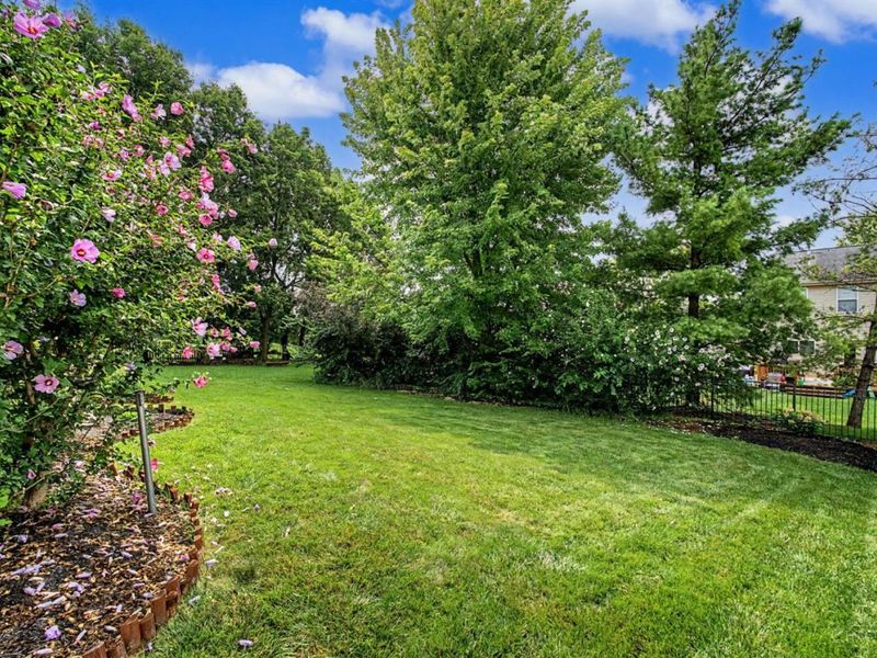 17 Christman Drive, Springboro, OH 45066 Photo 53
