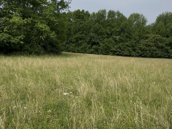0 Riverview Road , Unit 1, Mount Juliet, TN 37122