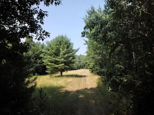 On OAK RIDGE ROAD, Harshaw, WI 54529