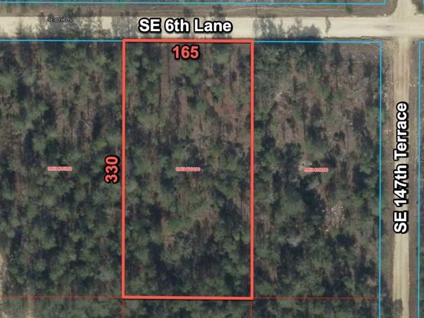 14710 SE 6TH LANE , WILLISTON, FL 32696