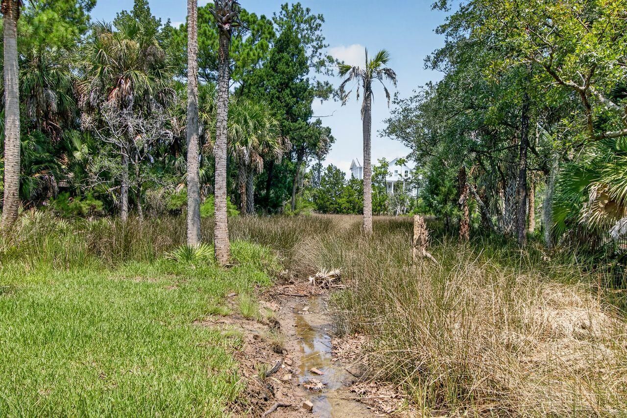 4123 Colonel Vanderhorst Circle Photo 56