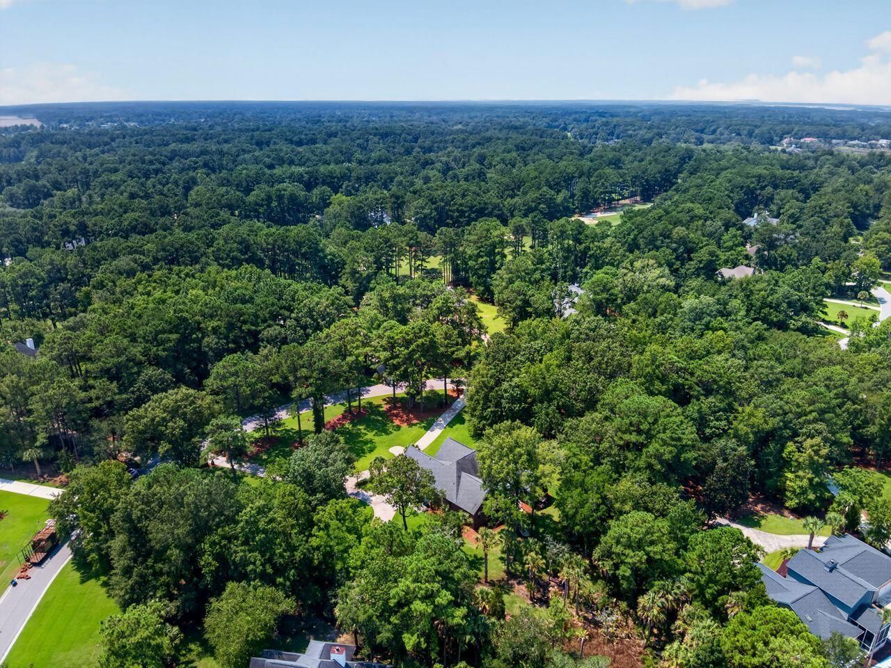 4123 Colonel Vanderhorst Circle Photo 62