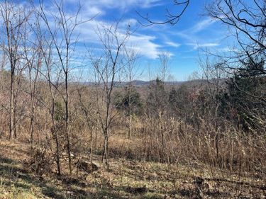 0 Taylors Mountain Road, Thaxton, VA 24174