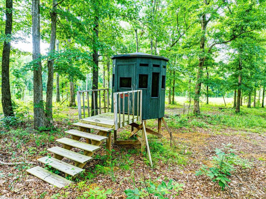 Property Image 38