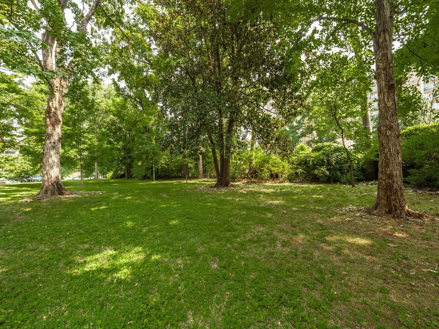 Property Image 65