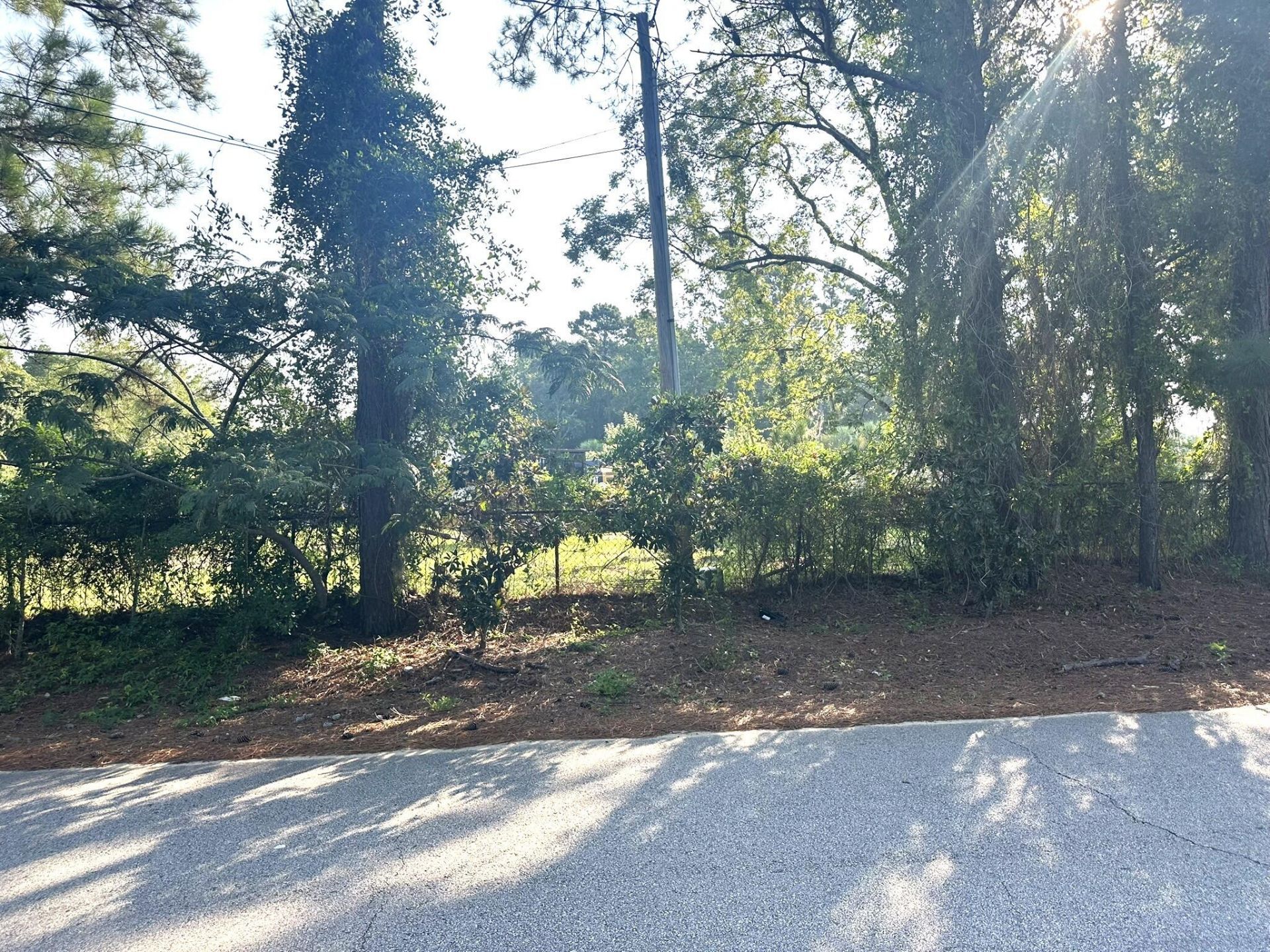 1076 Beehive Road Photo 11