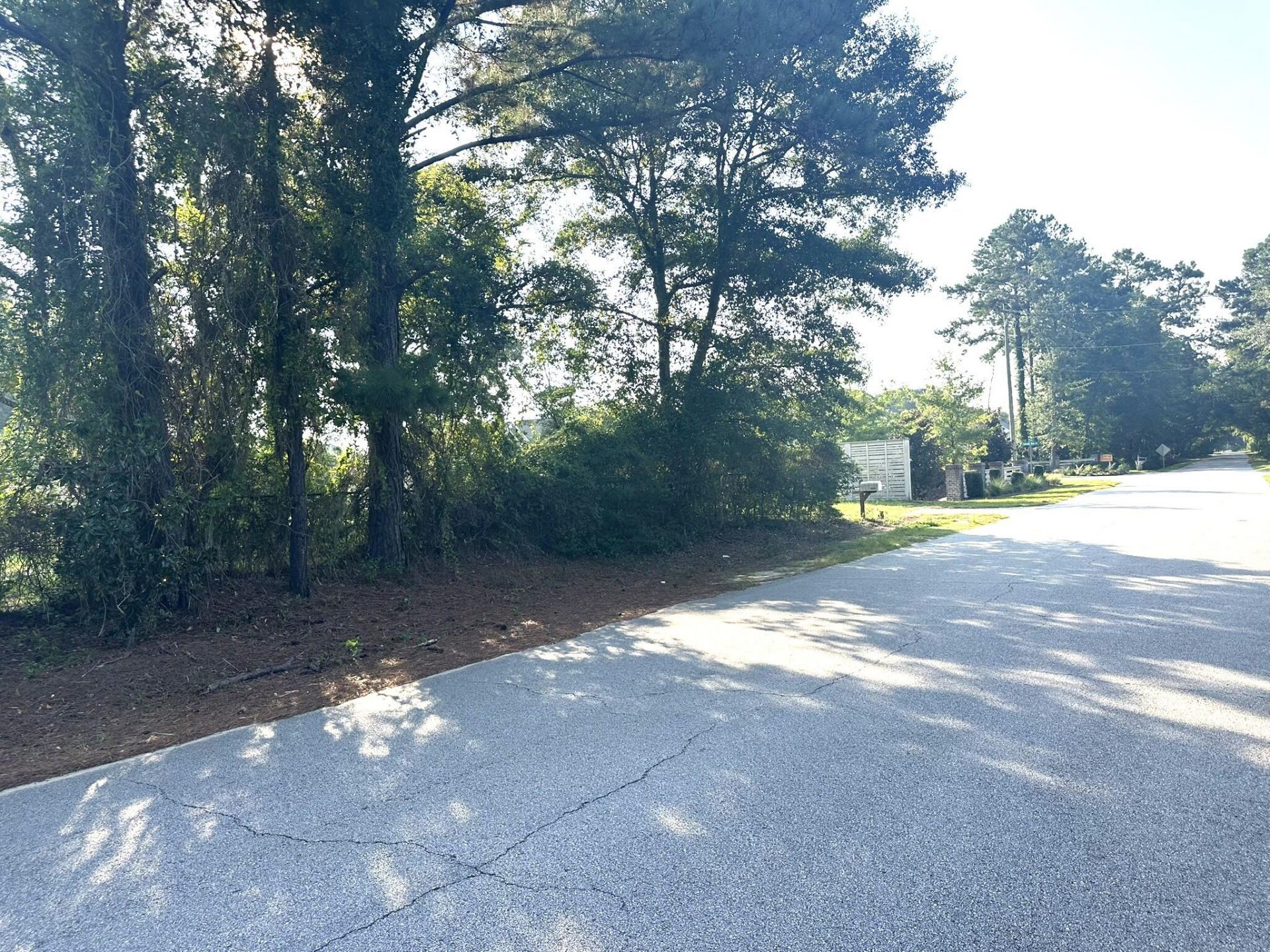 1076 Beehive Road Photo 12