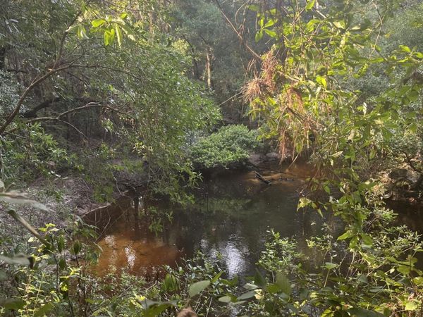 000 Crane Creek Rd Road, Perkinston, MS 39573