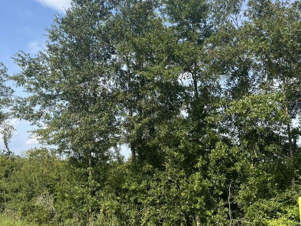 000 Crane Creek Rd Road, Perkinston, MS 39573