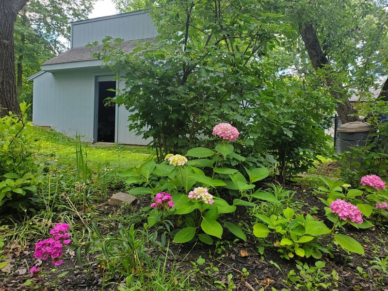 830 Harvest Lane Court, Columbus, OH 43213 Photo 81