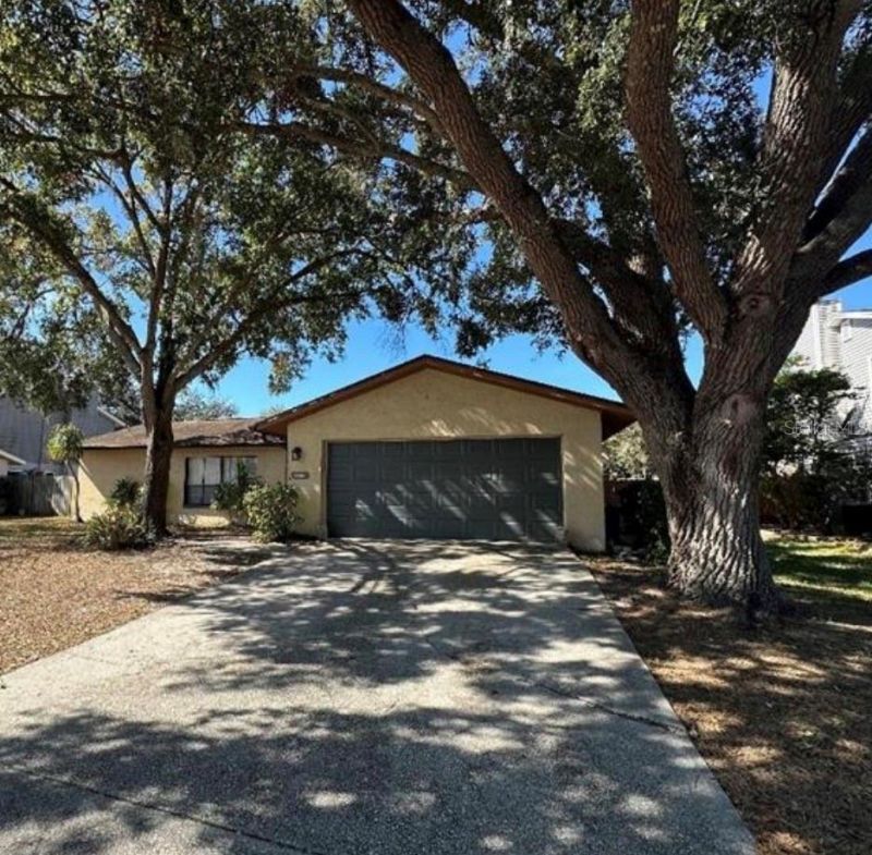 4305 Ellenville Place, Valrico, FL 33596 Main Photo