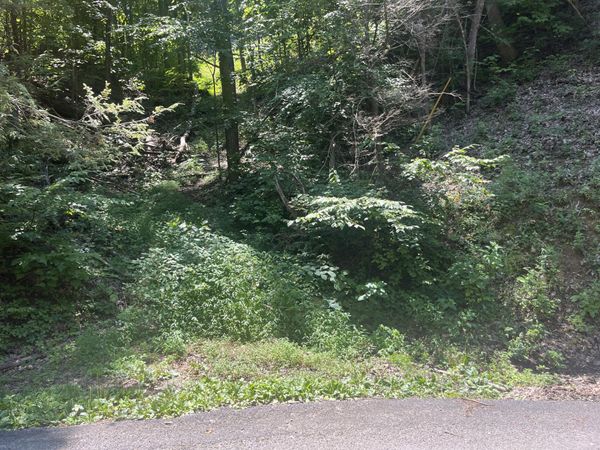 Lot 331 Ridgefield Drive, Sevierville, TN 37876