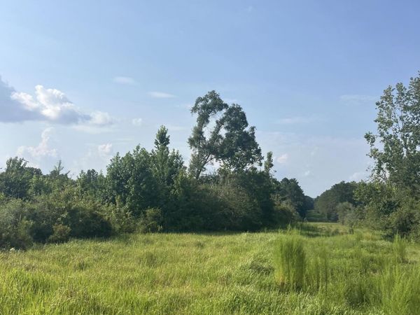 000 S Mississippi 53 , Perkinston, MS 39573