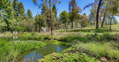 10411 Rough And Ready Rd, Rough and Ready, CA 95975 Photo