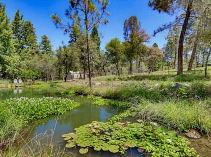 10411 Rough And Ready Rd, Rough and Ready, CA 95975 Photo