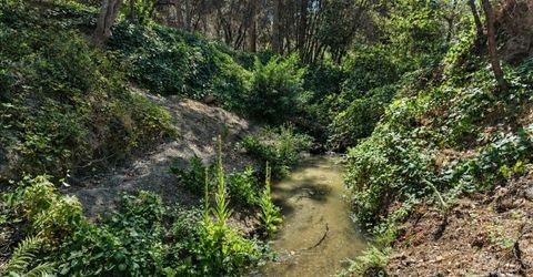 10411 Rough And Ready Rd, Rough and Ready, CA 95975 Photo