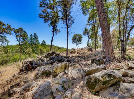 10411 Rough And Ready Rd, Rough and Ready, CA 95975 Photo