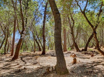10411 Rough And Ready Rd, Rough and Ready, CA 95975 Photo