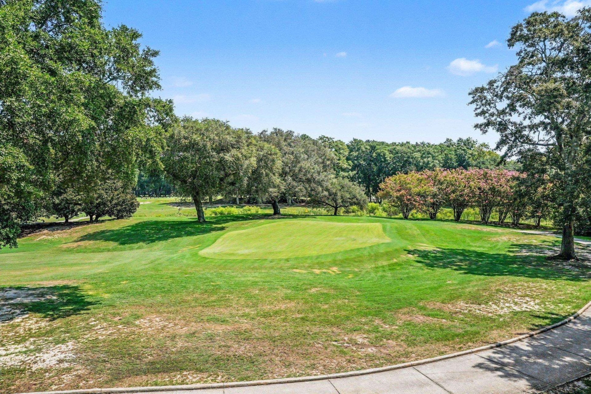 333 Golden Bear Dr.  Photo 35