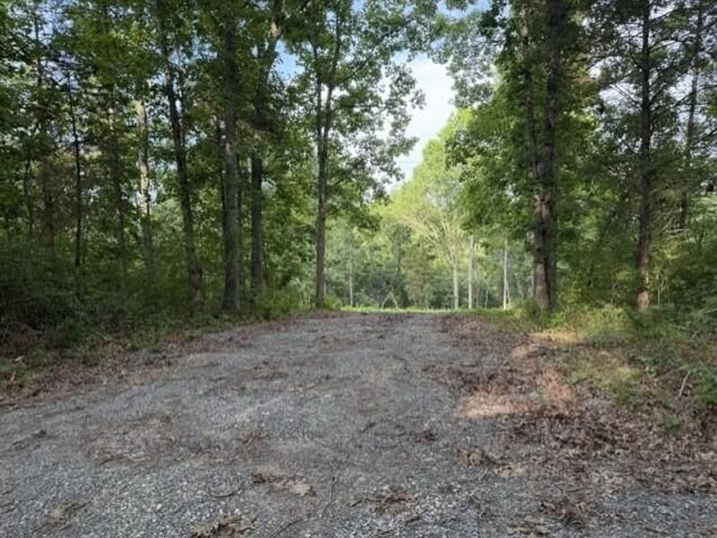 817 Galbraith Road, Brooksville, KY 41004 Photo 1