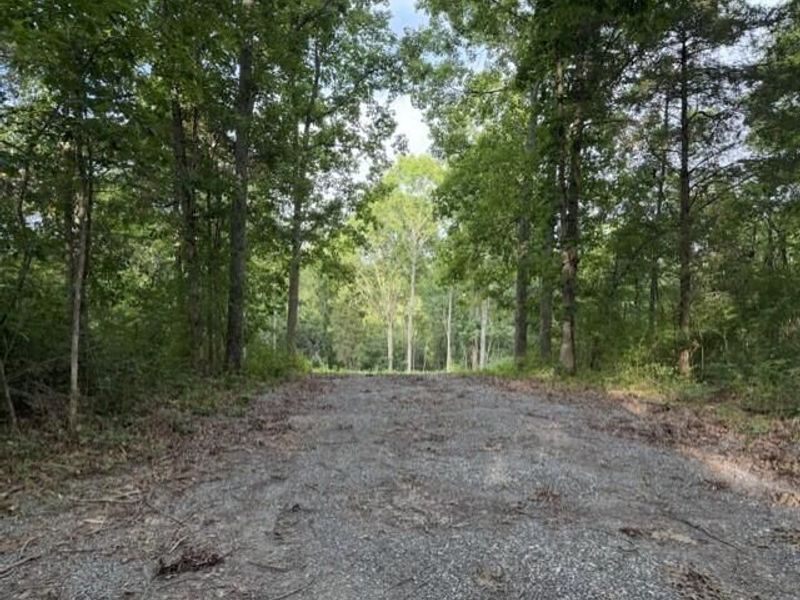 817 Galbraith Road, Brooksville, KY 41004 Photo 2