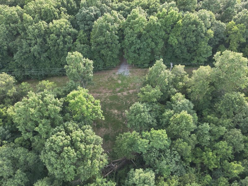 817 Galbraith Road, Brooksville, KY 41004 Photo 3