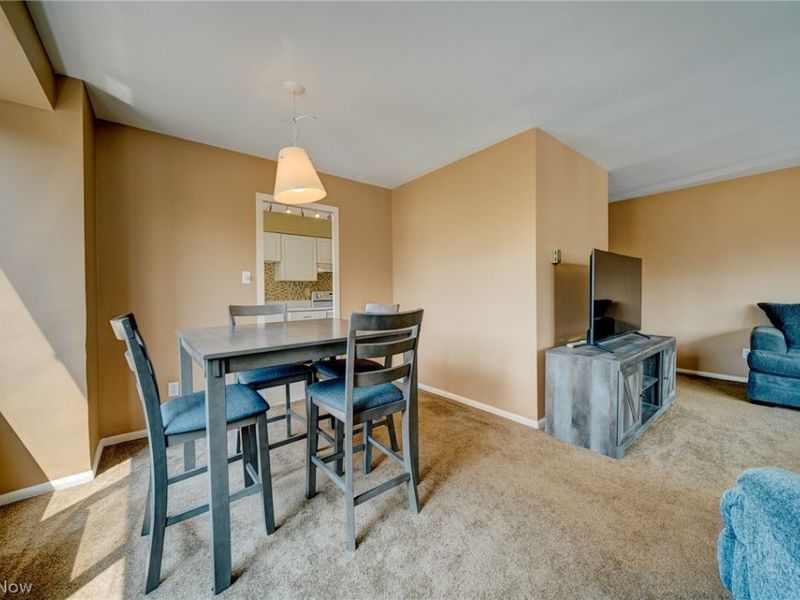 12520 Edgewater Drive, Unit 210, Lakewood, OH 44107 Photo 6