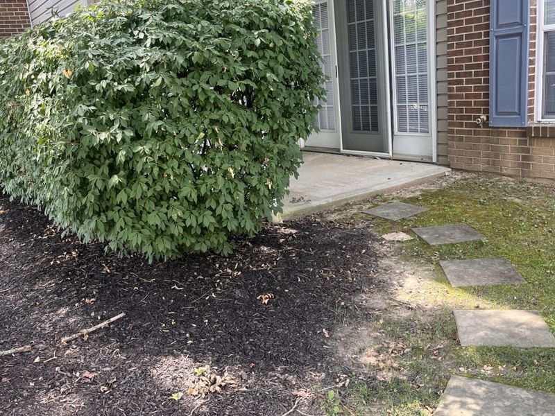 955 Mistflower Lane, Florence, KY 41042 Photo 3