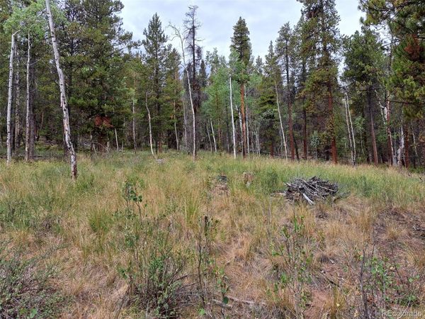 1201 Beaver Creek Road , Fairplay, CO 80440