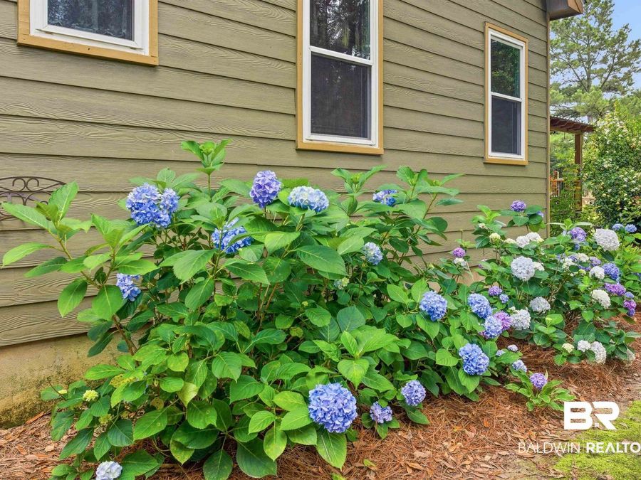 Property Image 61