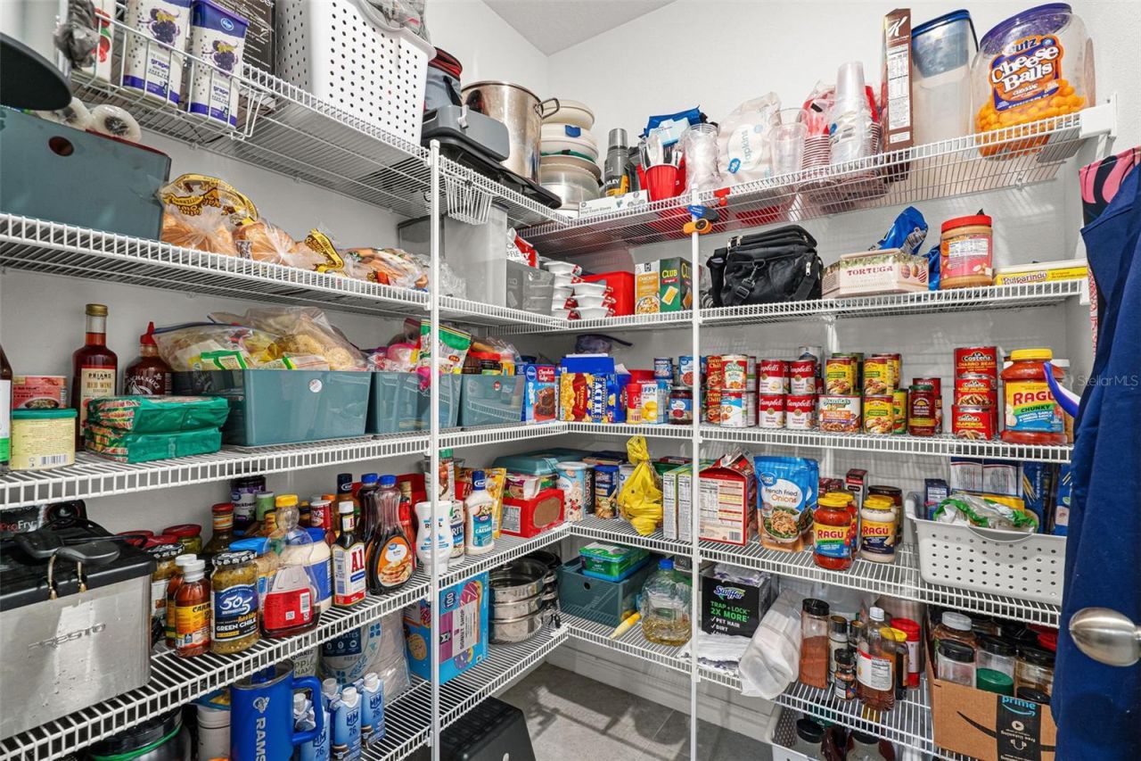 9823 Lemon Drop Loop , Ruskin, FL 33573 Photo