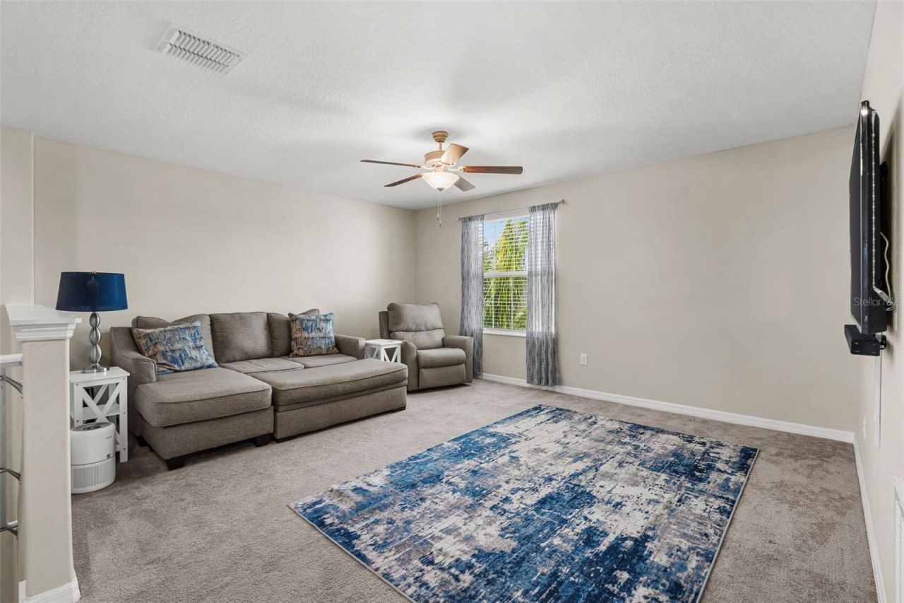 9823 Lemon Drop Loop , Ruskin, FL 33573 Photo