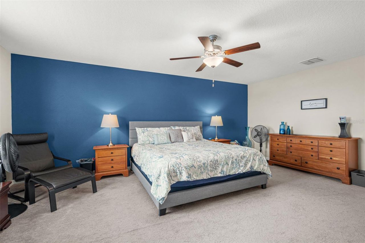 9823 Lemon Drop Loop , Ruskin, FL 33573 Photo