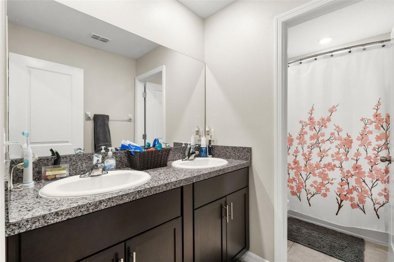9823 Lemon Drop Loop , Ruskin, FL 33573 Photo