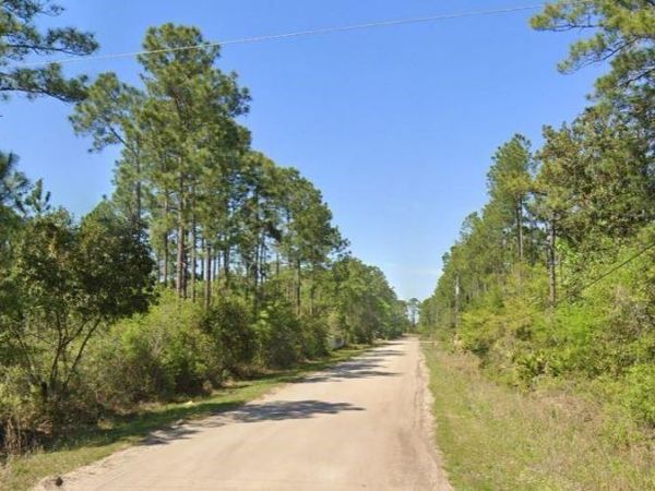 2515 BEECH BOULEVARD , BUNNELL, FL 32110