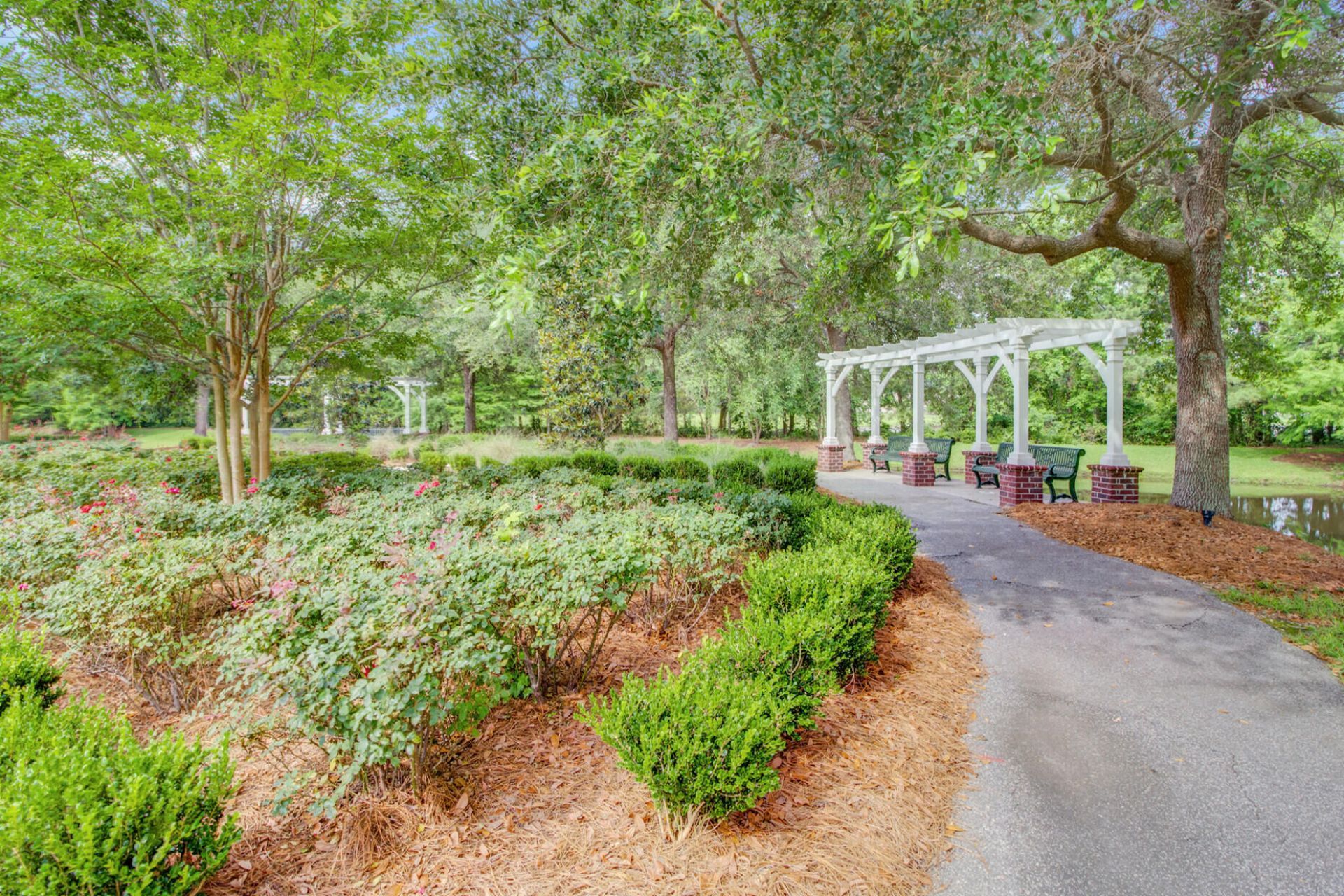 208 Dandelion Street Photo 38