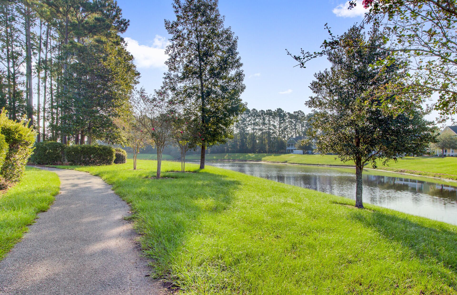 208 Dandelion Street Photo 43