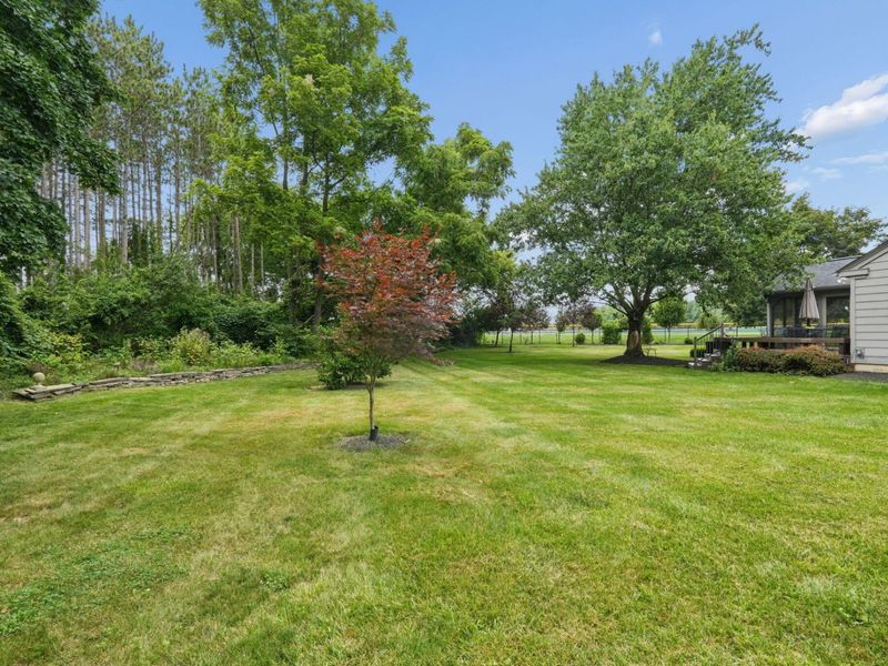 321 Northfield Drive, Mount Gilead, OH 43338 Photo 55