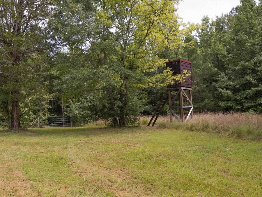 Property Image 63