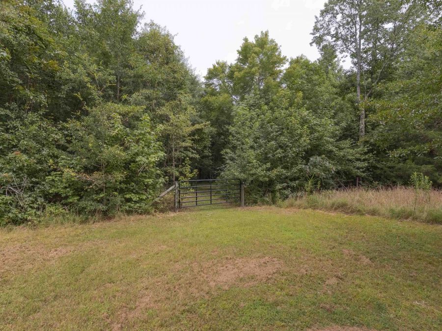 Property Image 64