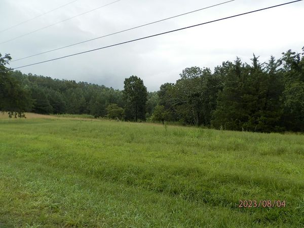 4243 Cotton Gin Rd, Spruce Pine, AL 35585