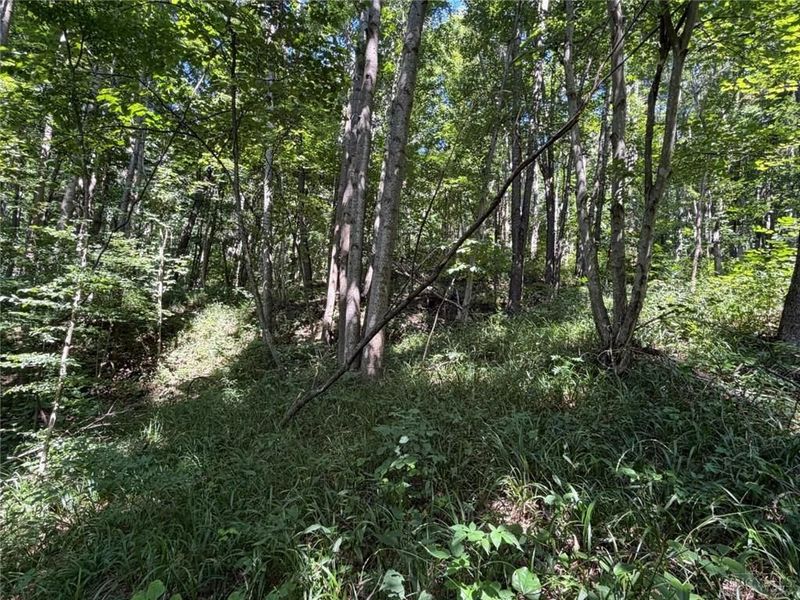 359 Green Ridge Road, Peebles, OH 45660 Photo 27