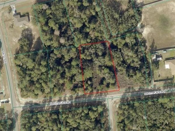 8006-0599-08 SW 177 Place RD , OCALA, FL 34473