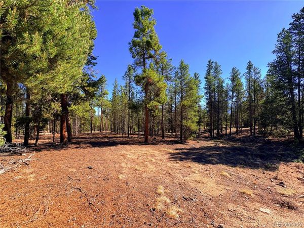 399 Lodgepole Drive , Leadville, CO 80461