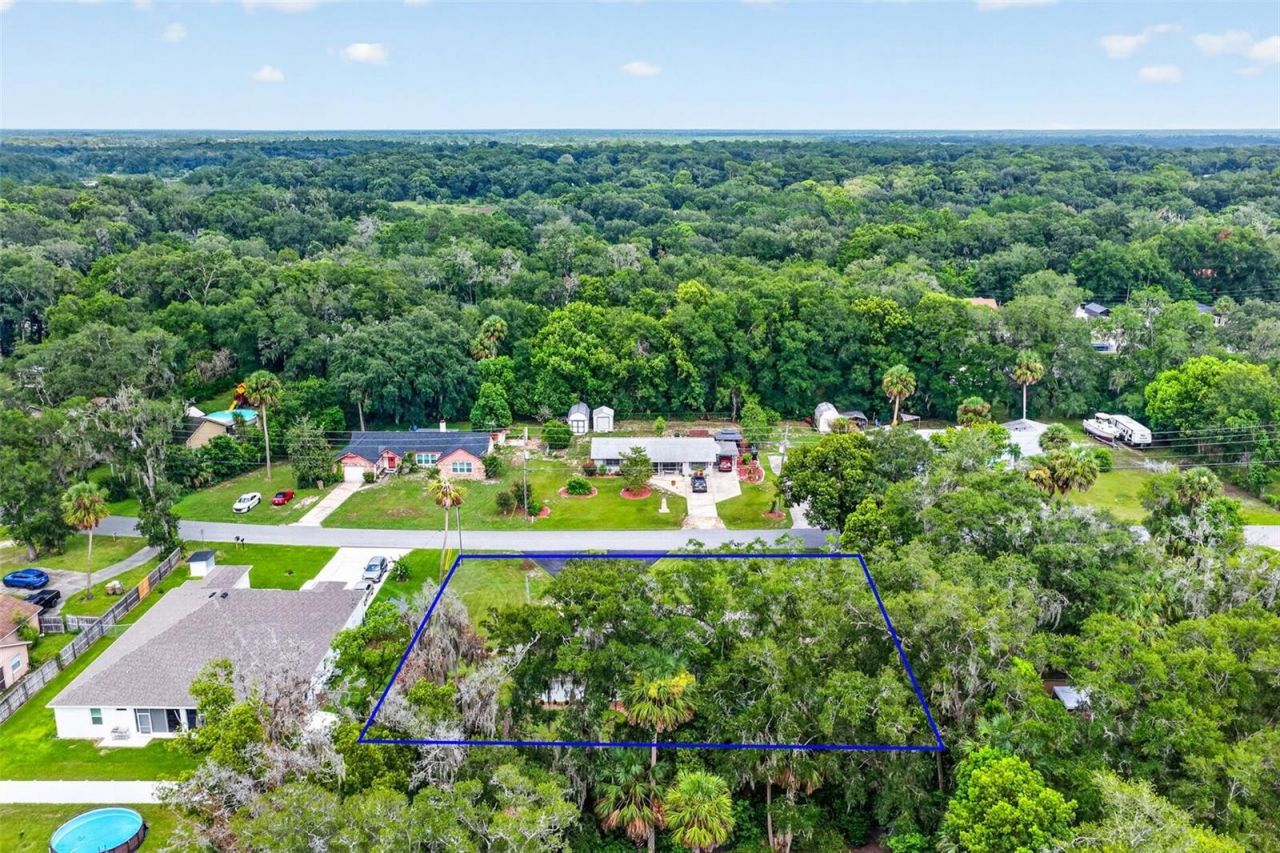 31151 Deal Drive , Mount Plymouth, FL 32776 Photo