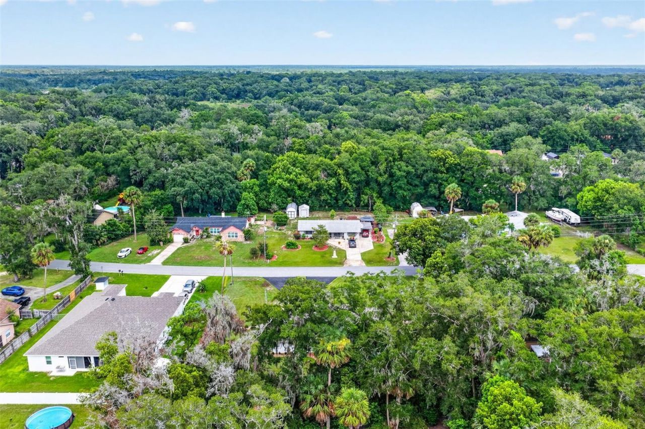 31151 Deal Drive , Mount Plymouth, FL 32776 Photo