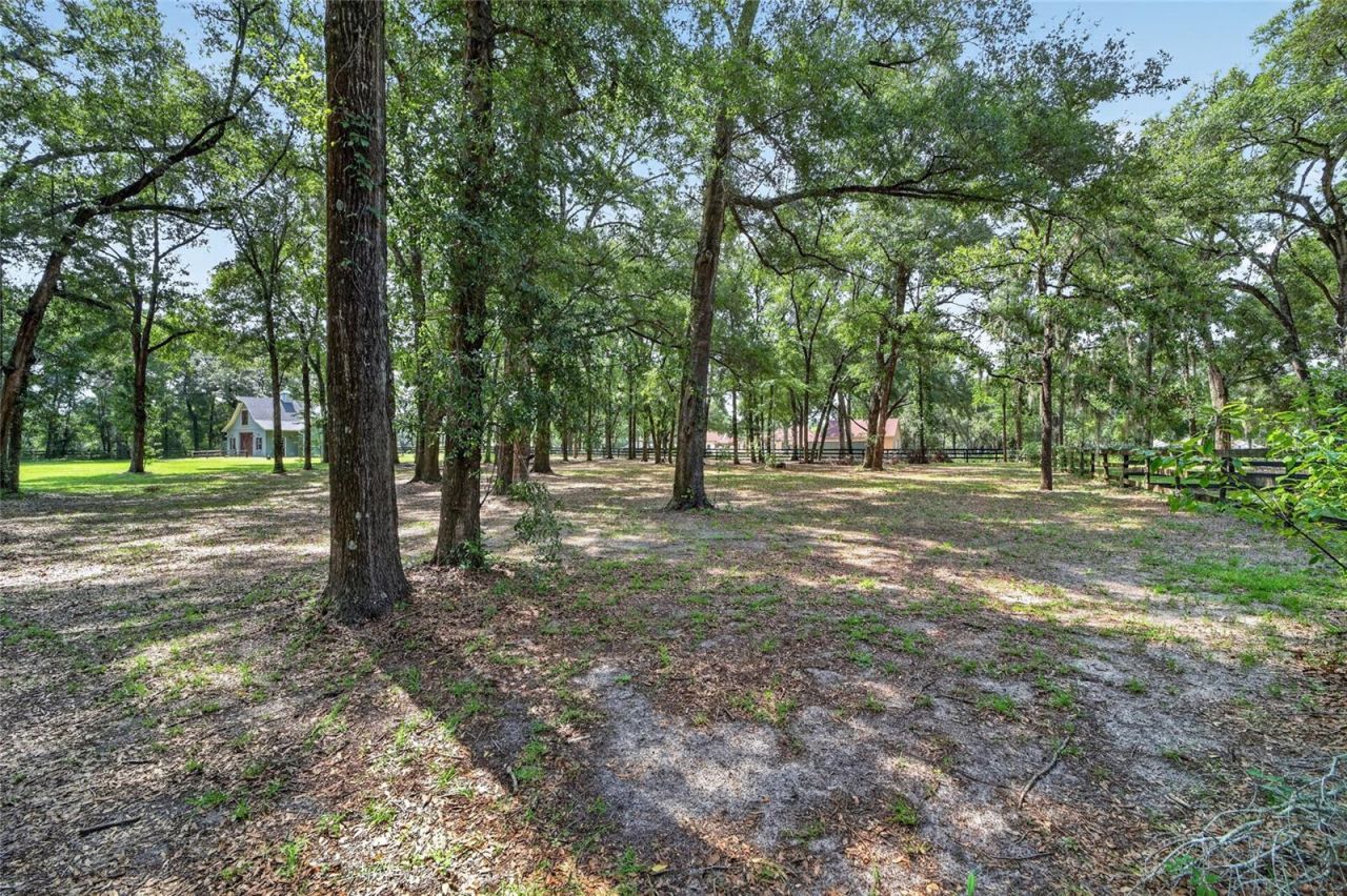 7040 SW 97th Place, Ocala, FL 34476 Photo