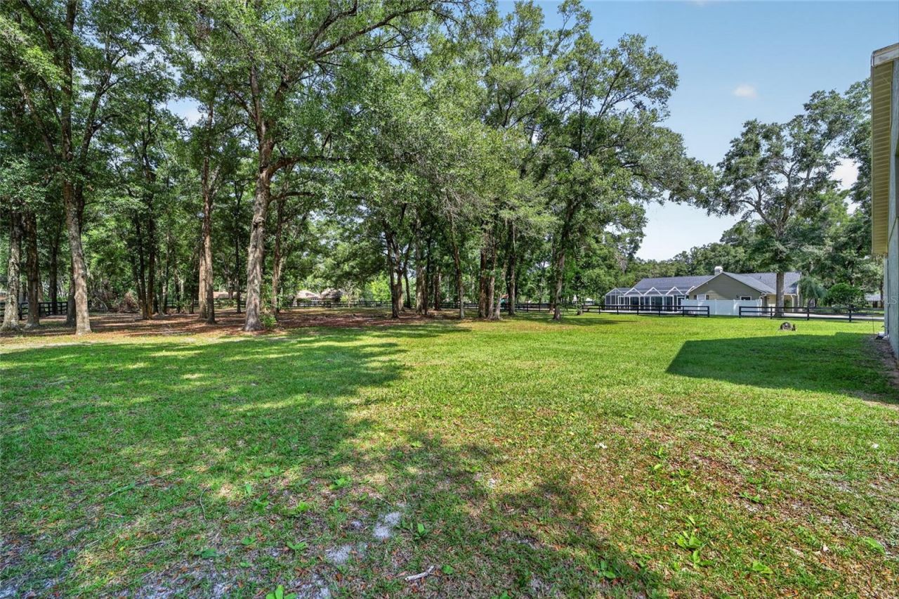 7040 SW 97th Place, Ocala, FL 34476 Photo