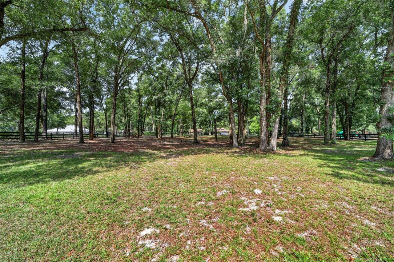 7040 SW 97th Place, Ocala, FL 34476 Photo